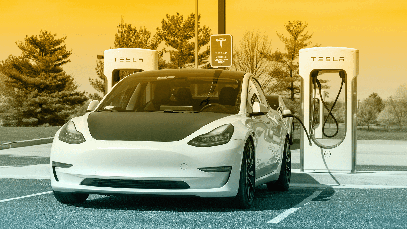 Electric car financing and EV loan assistance by Capital Solutions in Kerala